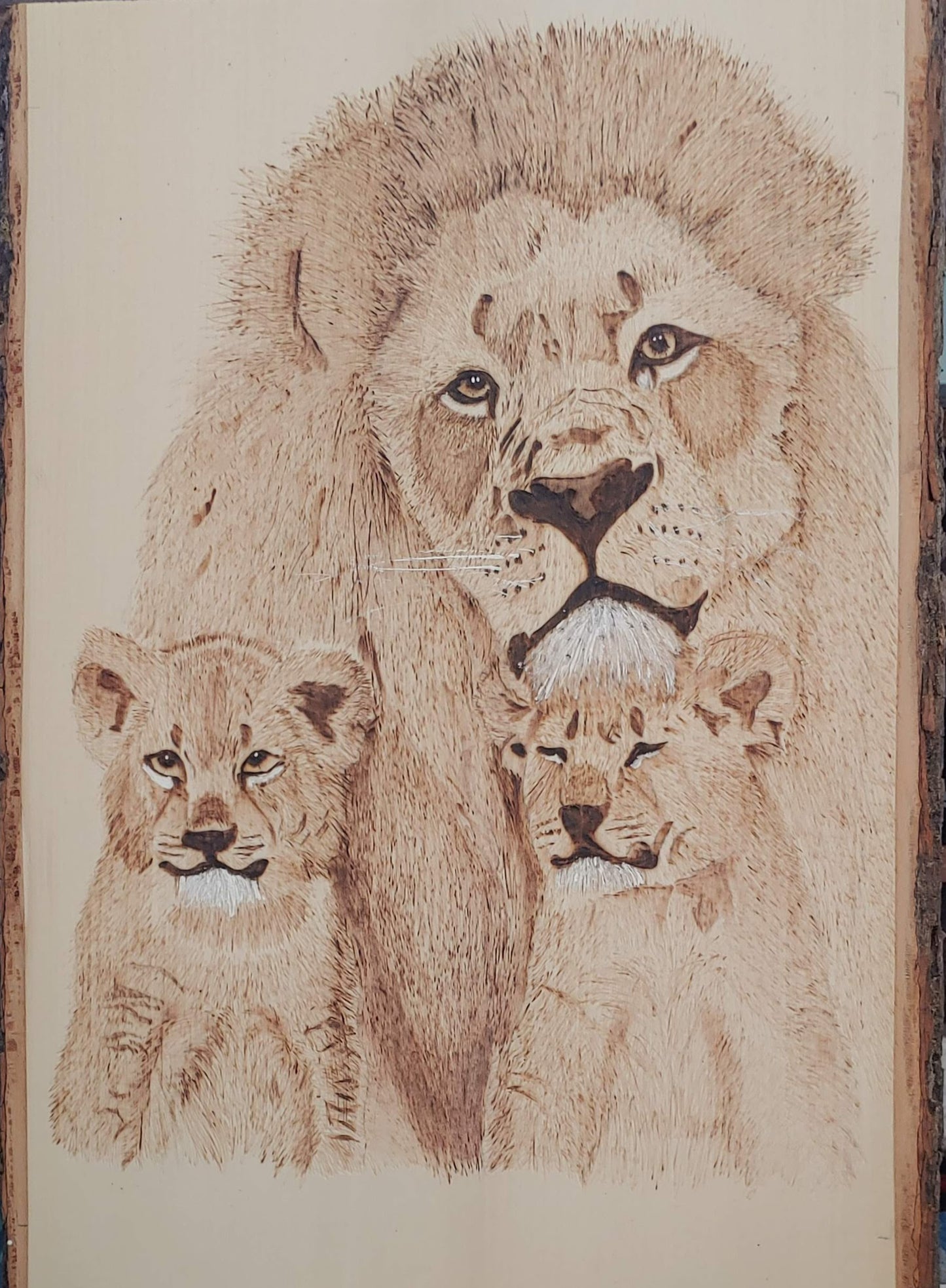 Lions