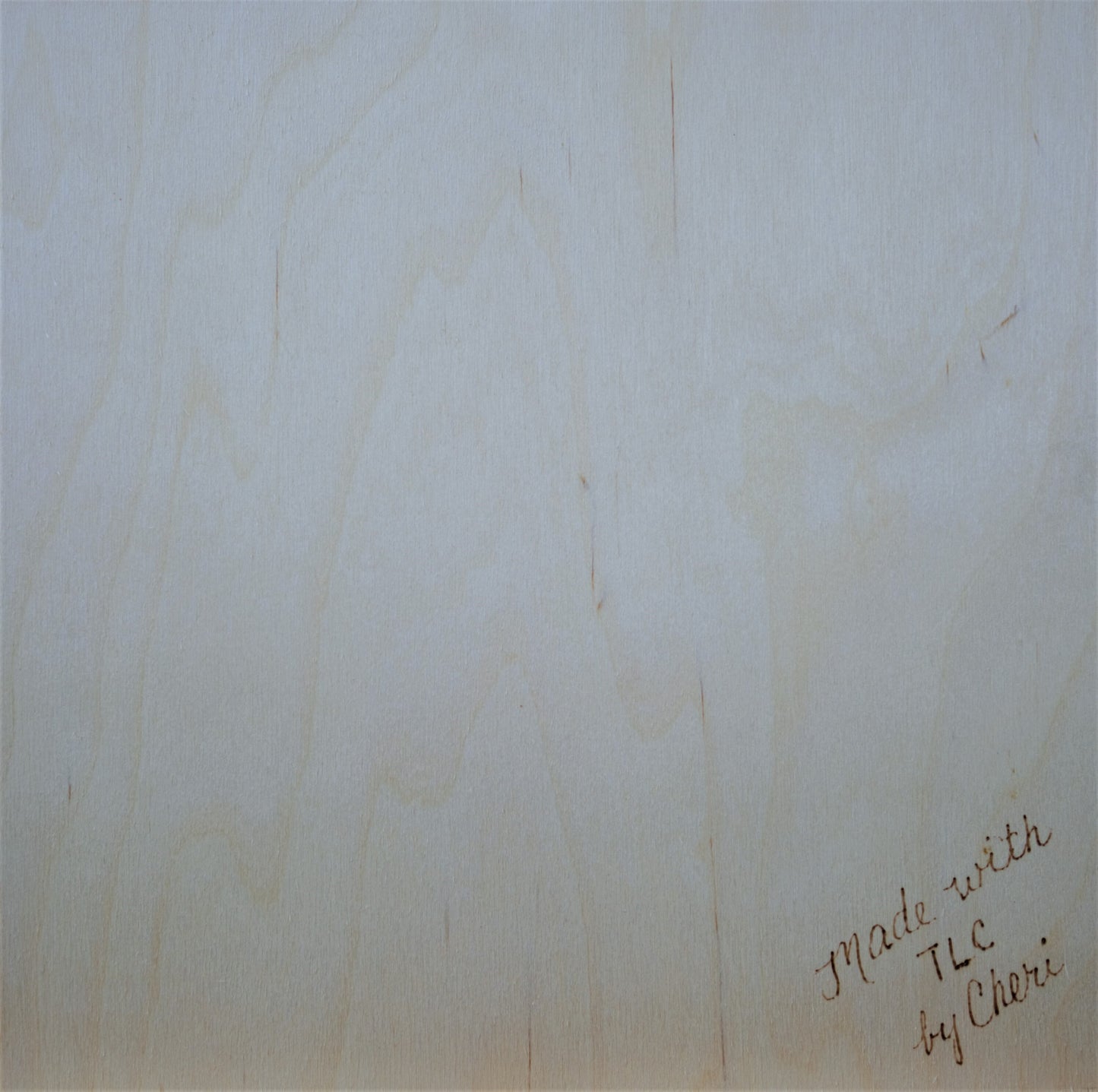 Beautiful Lioness Hand-Crafted Wood burning (Pyrography) on Birch or Basswood