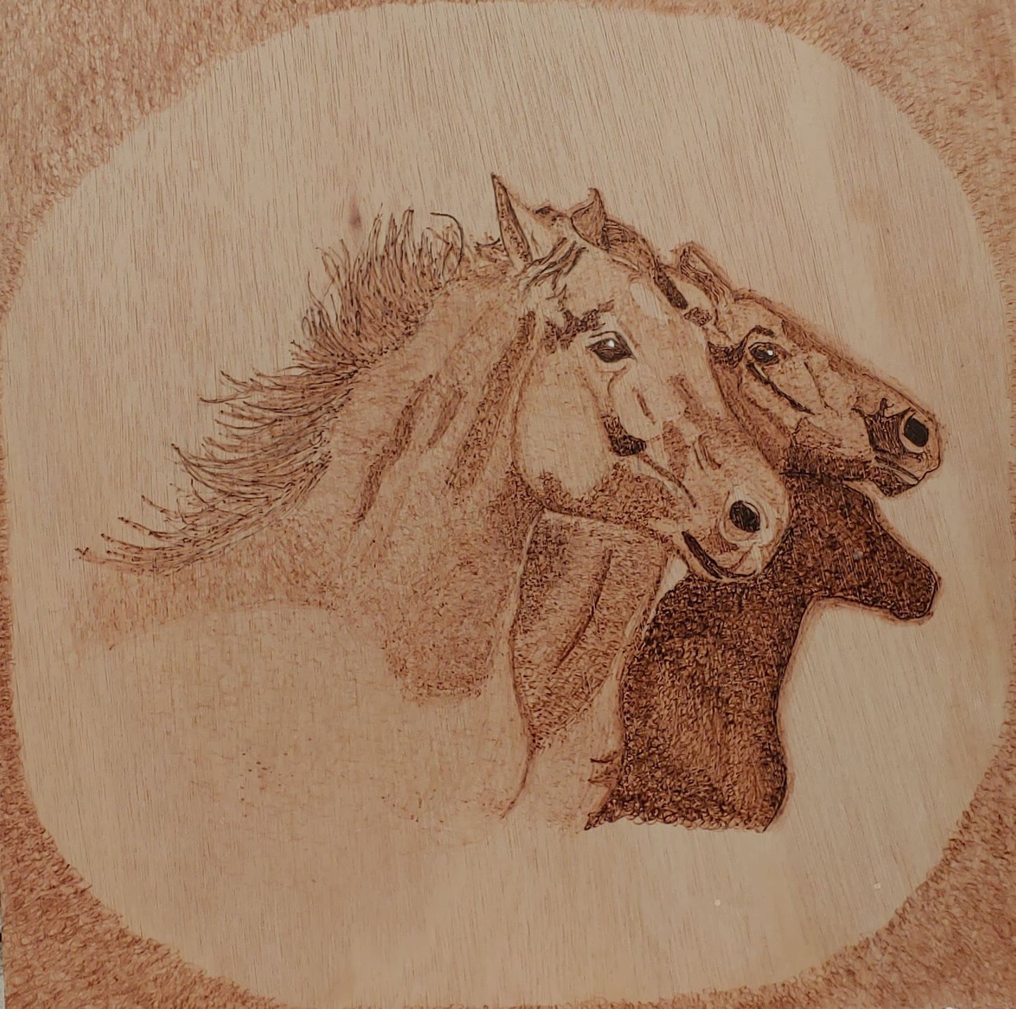 Horses
