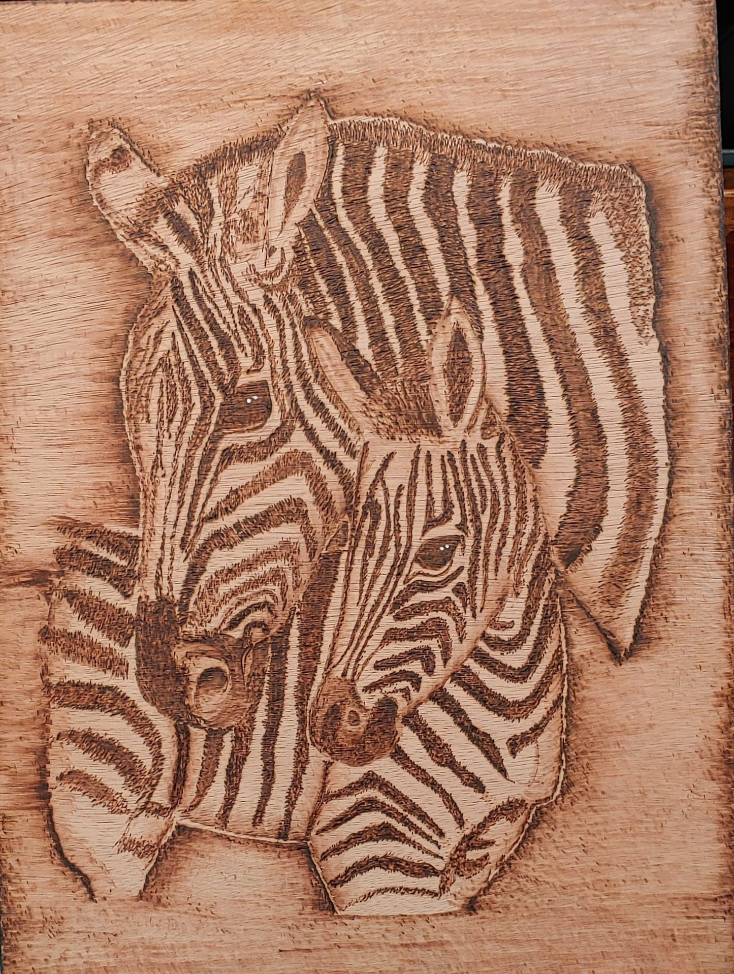 Zebras