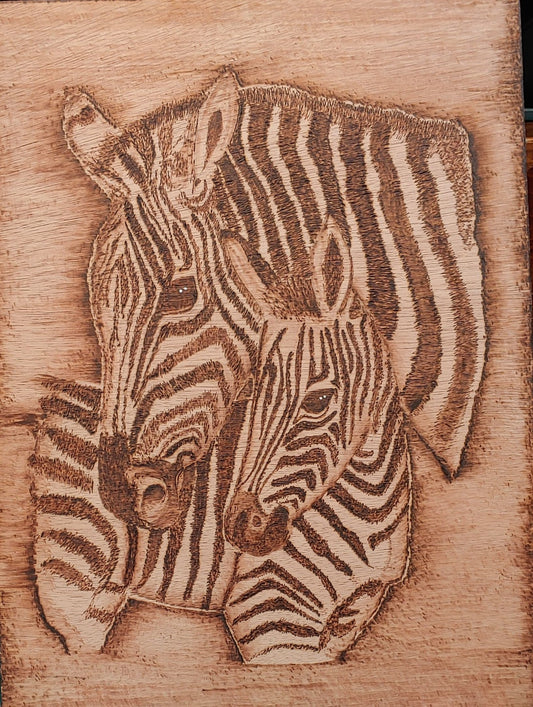 Zebras