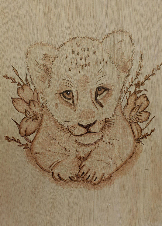 Lion cub
