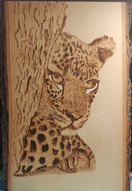 Leopard