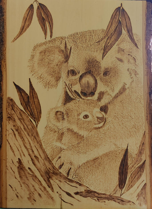 Koalas