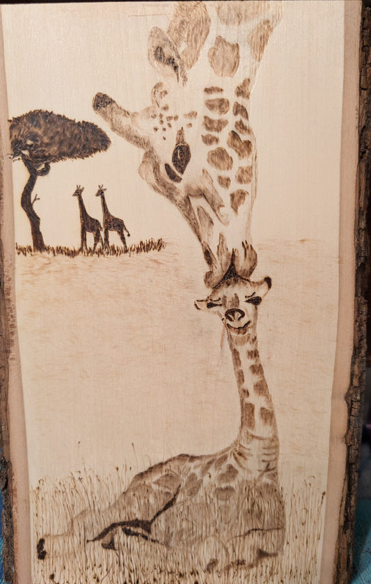 Giraffes