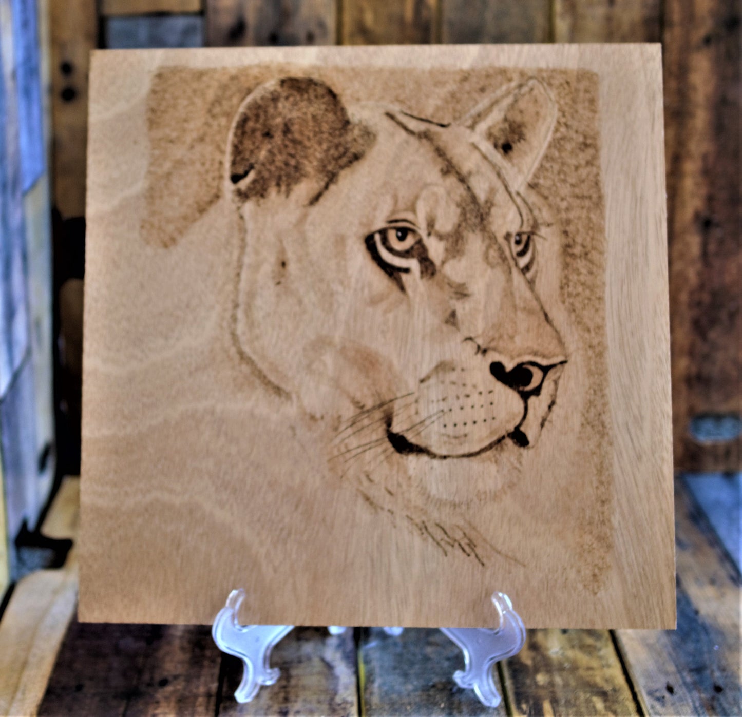 Beautiful Lioness Hand-Crafted Wood burning (Pyrography) on Birch or Basswood